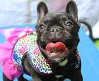 Maeby