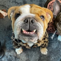 Lola