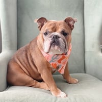 Lola