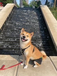 Milo