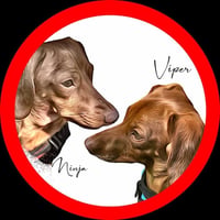 Viper and Ninja