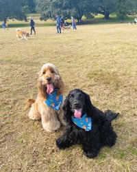Lil and Dave