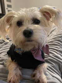 Wally