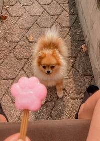 Mimi