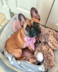 Hope Ruby O'Callaghan