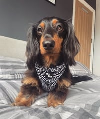 Alfie