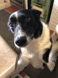 Tina