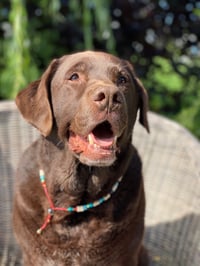 Skye