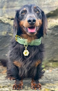 Parker