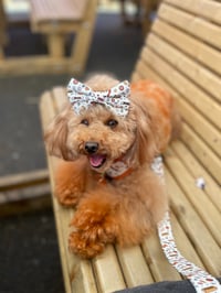 Mitzy