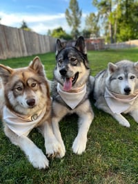 Tikanni Kita and Tehya