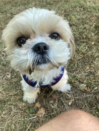 Bonnie