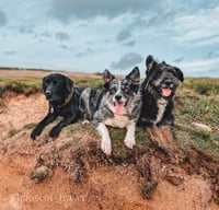 Fraser, Eli and Yuffie
