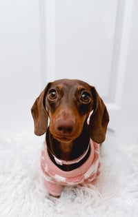Nala