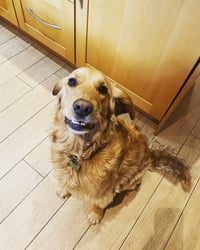 Koby
