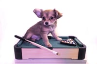 Snooker