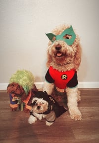 Choco, Cielo & Luna