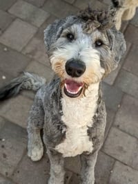Zuko