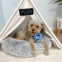 Toby