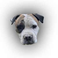 George