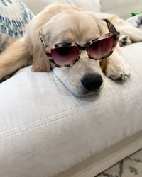 Skye