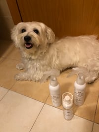 Pepito