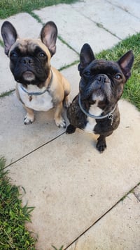 Lucy e Thor