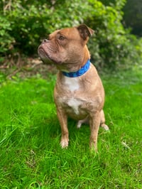 Tyson