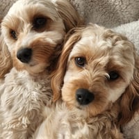 Ellie and Maya