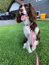 Marley