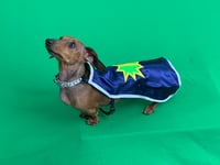 Tula Belle The Nooch