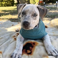 Mirbella