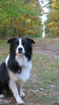 Jack