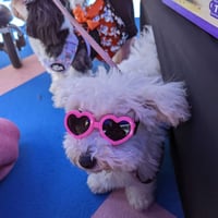 Bijou