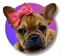 Frida