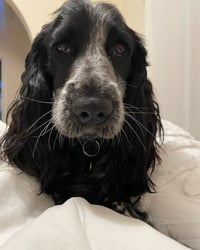 Nell