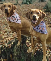 Jasmine and Meg