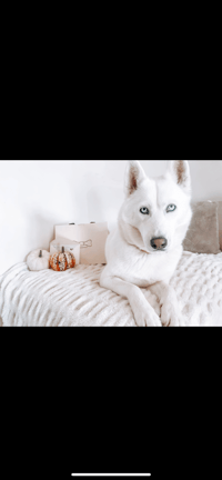 Nala