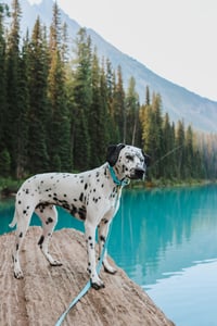 River