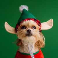 Snuffeltje