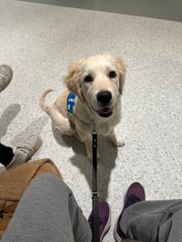 Hero