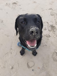 Max