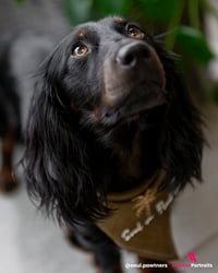 Marley