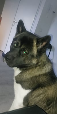 Benzo