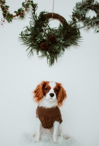 Reid