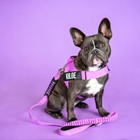 Khloe