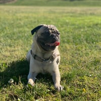 Benjy