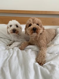 George and Eddie