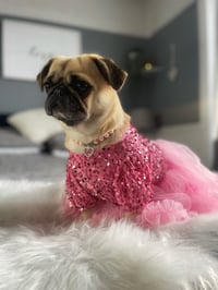 Jessie