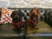 Oliver & Stanley